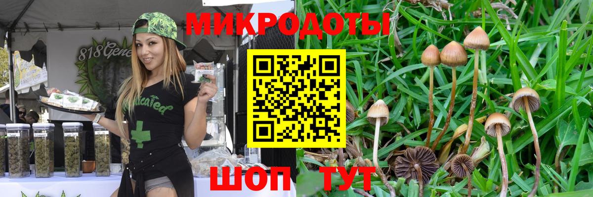 Чернушка  Псилоцибиновые грибы Cubensis  Вход с VPN 