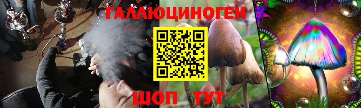 Галлюциногенные грибы мицелий Чернушка